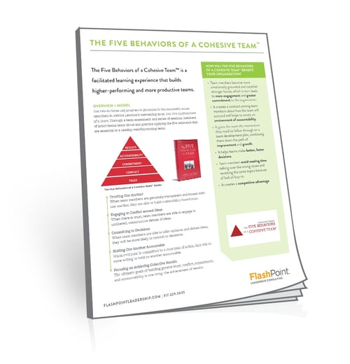 The Five Behaviors of a Cohesive Team Overview Image