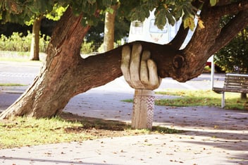 Building-Trust-on-Your-Team-blog-image