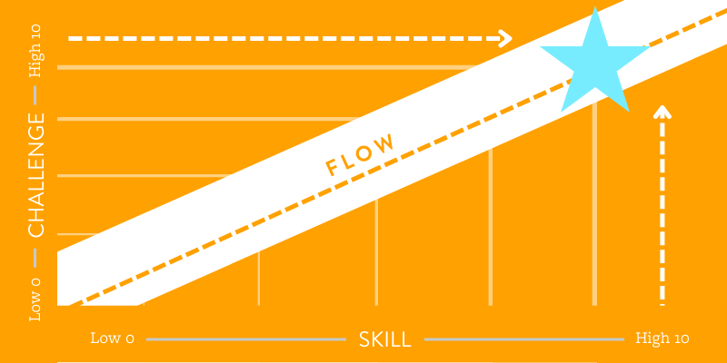 Flow Model