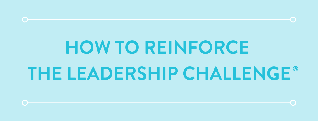 blog-header-FlashPoint-reinforcement-the-leadership-challenge