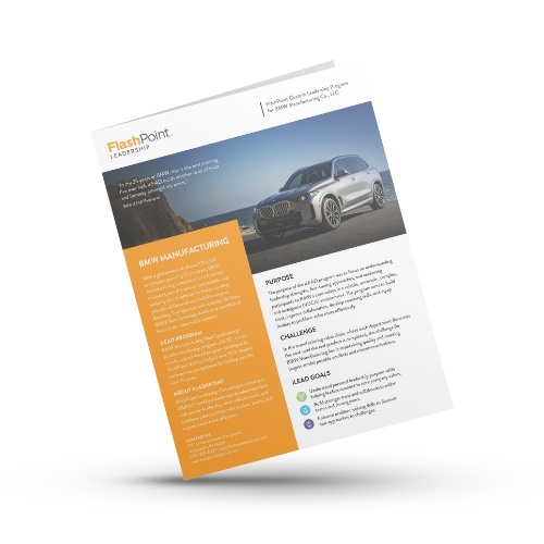 FlashPoint--BMW-iLEAD-Case-Study-Download-Graphic