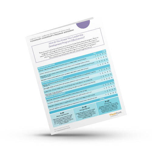 FlashPoint-Leadership-Development-Program-Design-Assessment