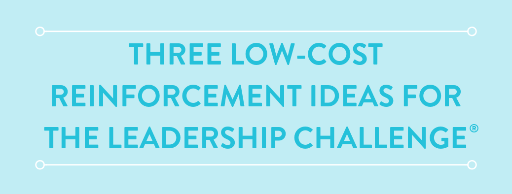 The Leadership Challenge Reinforcement: Low-Cost Resources